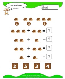 Toplama İşlemi Çalışma Sayfaları